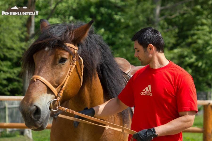 Pensiunea Retezat Campu Lui Neag Uricani  Exteriör bild